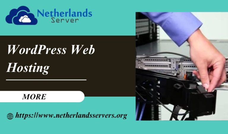 Great Web Hosting Experience with New and Innovative WordPress Web Hosting